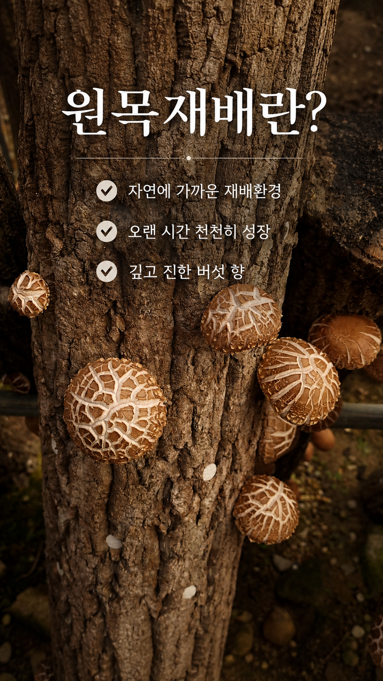 가루리뷰 7.png